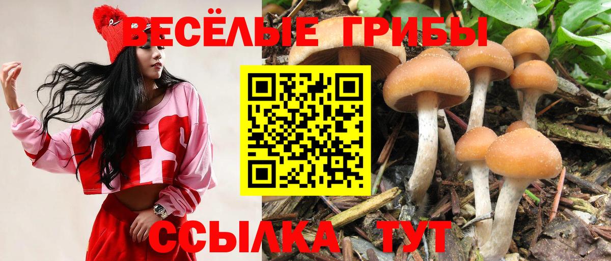 Шебекино  Галлюциногенные грибы Magic Shrooms  Вход с VPN  Псилоцибиновые грибы мицелий 