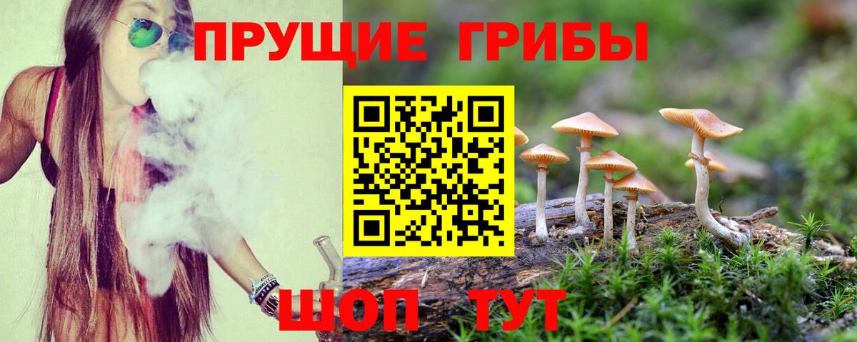 Кокаин Шебекино